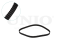 Timing belt kit thumb