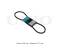 V-belt thumb