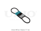 V-belt thumb
