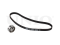 Timing belt kit thumb