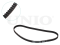 Timing belt kit thumb