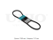V-belt thumb
