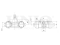 Wheel brake cylinder thumb
