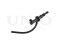 Clutch master cylinder thumb
