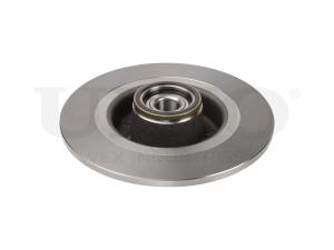 Rear brake disc photo