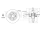 Rear brake disc thumb