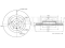 Front brake disc thumb