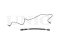 Right rear brake hose thumb
