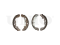 Rear brake shoes thumb