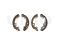 Rear brake shoes thumb