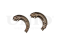 Rear brake shoes thumb