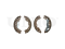Rear brake shoes thumb