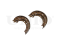 Rear brake shoes thumb