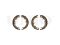 Rear brake shoes thumb