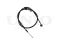 Right rear parking brake cable thumb