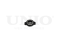 Clutch kit with bearing thumb