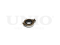 Clutch kit with bearing thumb