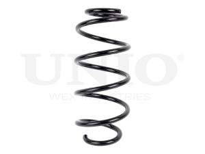 Front coil spring photo