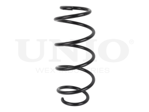 Front coil spring photo