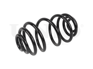 Rear coil spring photo