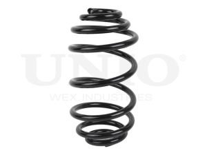 Rear coil spring photo