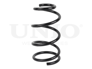 Front coil spring photo