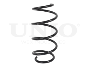 Front coil spring photo