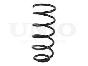Front coil spring photo