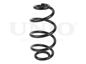 Rear coil spring photo