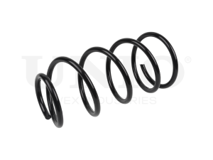 Front coil spring photo