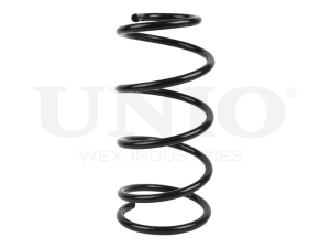 Front coil spring photo