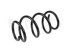 Front coil spring photo