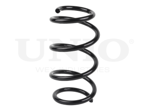 Front coil spring photo