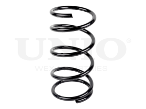 Front coil spring photo
