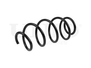 Front coil spring photo