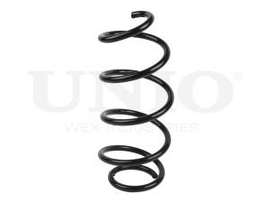 Front coil spring photo