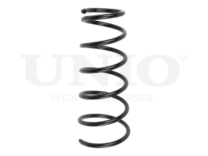 Front coil spring photo