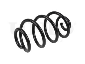 Rear coil spring photo