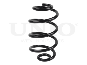 Rear coil spring photo