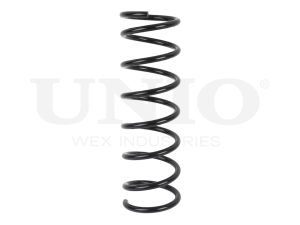 Rear coil spring photo