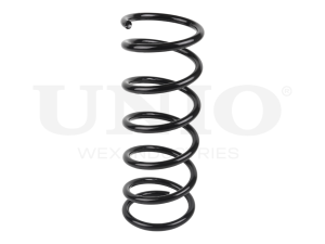 Rear coil spring photo