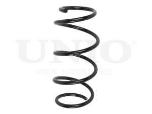 Front coil spring photo
