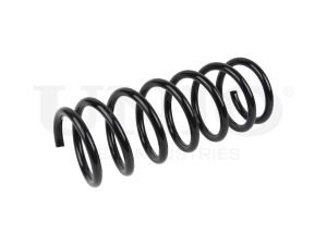 Rear coil spring photo