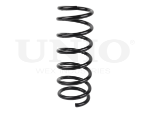 Rear coil spring photo