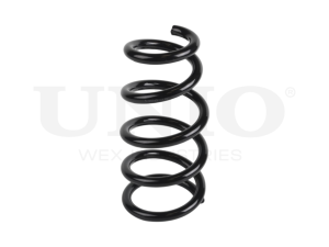 Rear coil spring photo