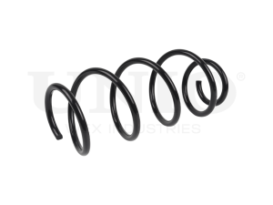 Front coil spring photo
