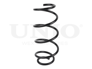 Front coil spring photo