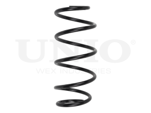 Front coil spring photo