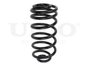 Rear coil spring photo