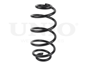 Rear coil spring photo